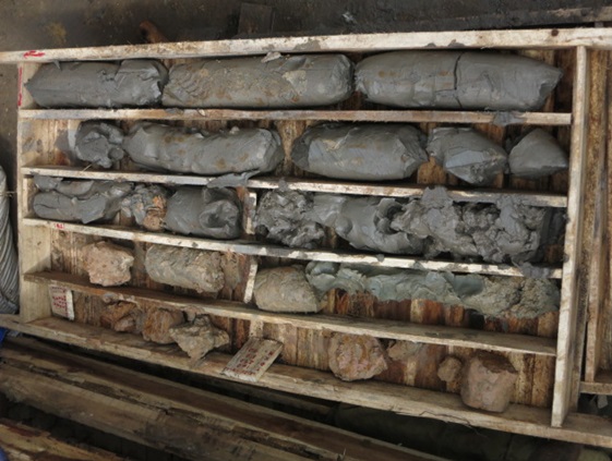 Core of drilled sediments
